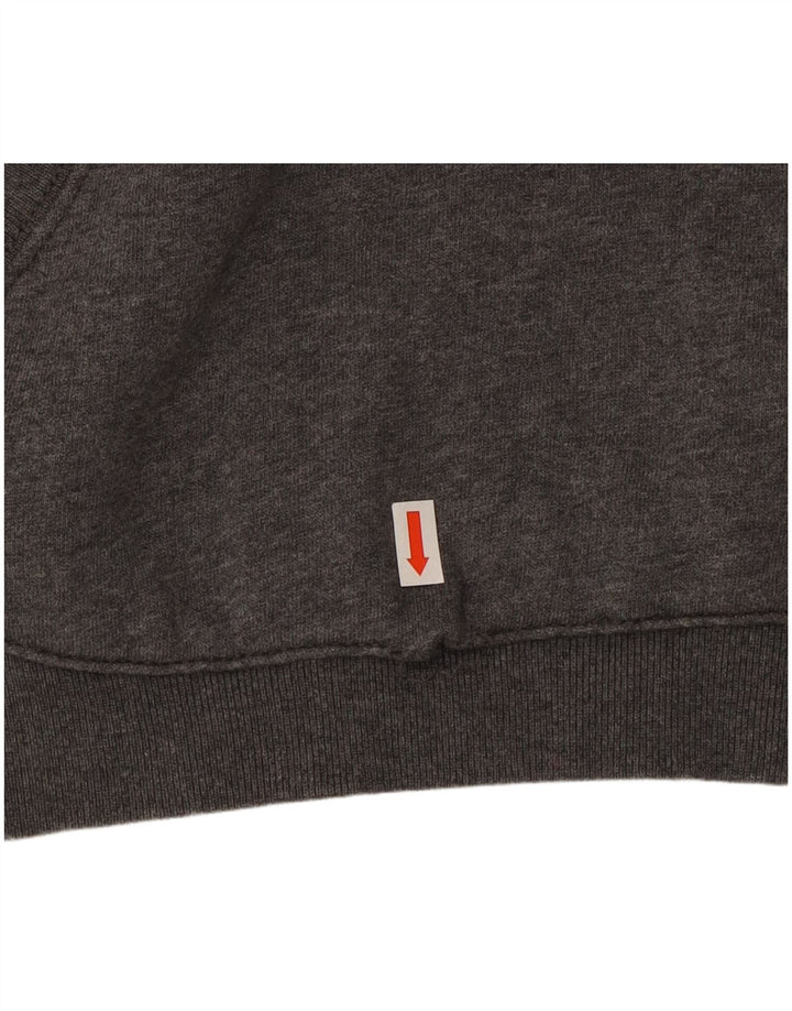 Napapijri Herren Graphic Hoodie Pullover Mittelgrau
