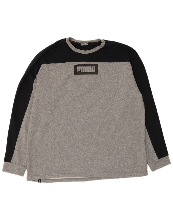 Puma Herren Graphic Sweatshirt Pullover XL Grau Colourblock Baumwolle