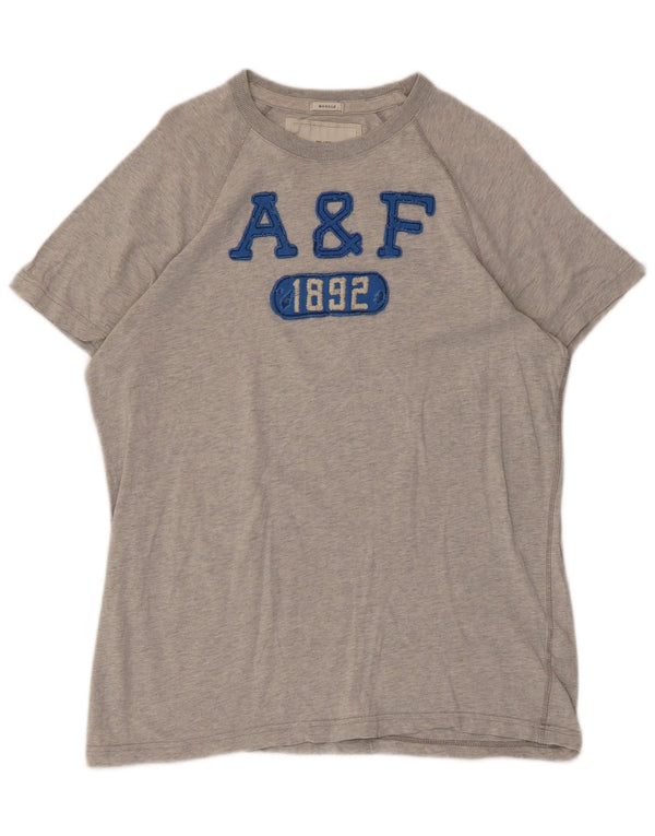 Abercrombie & Fitch Mens Muscle Graphic T-Shirt Top Large Grey Flecked