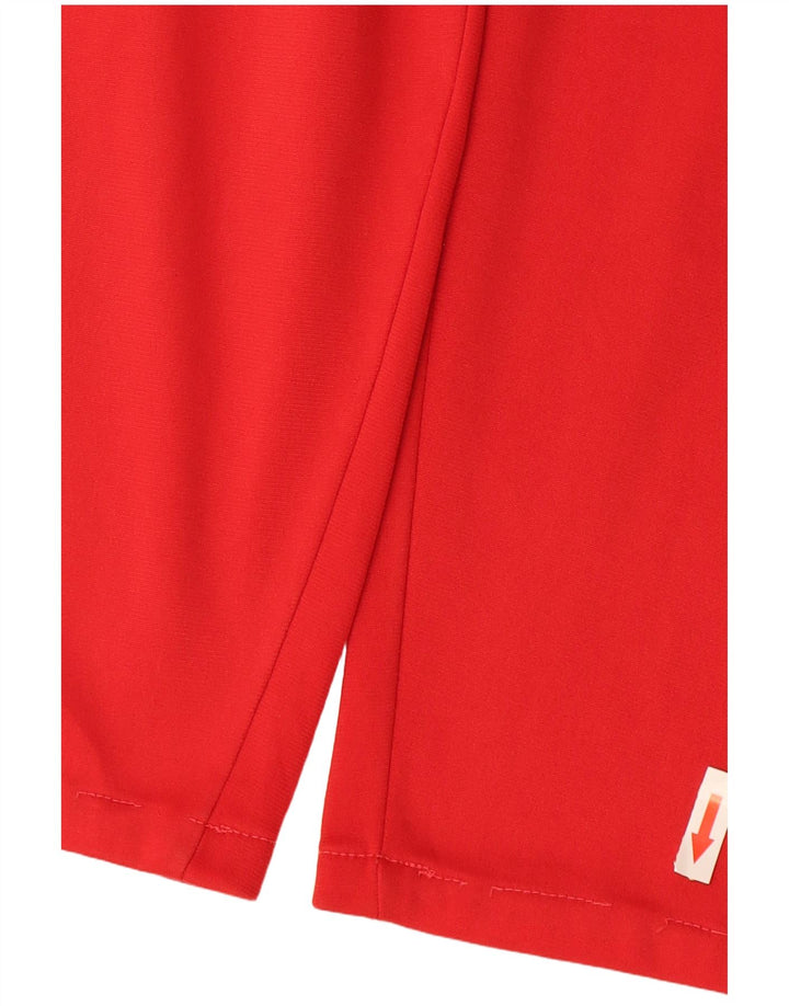 Champion Herren-Trainingshose mit Grafik, XL, rotes Farbblock-Polyester