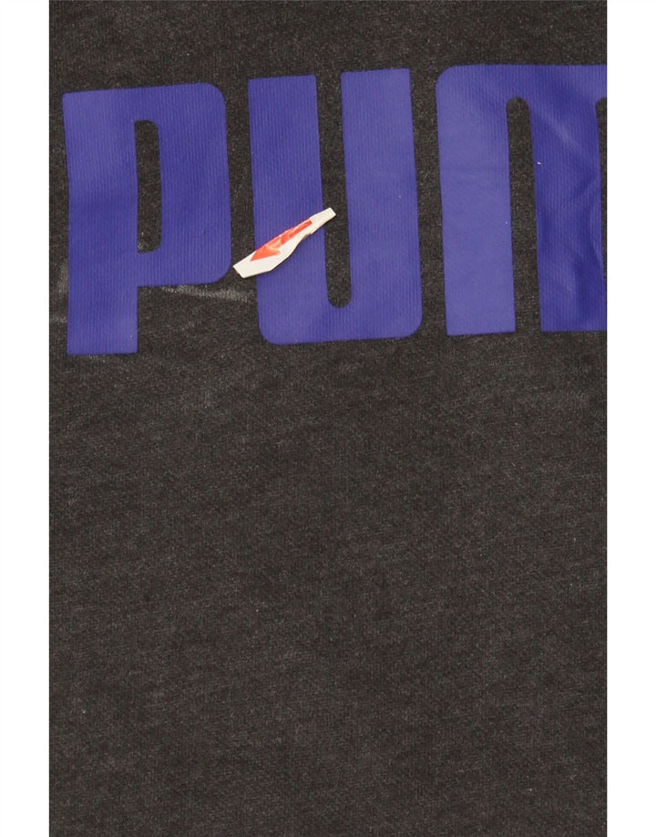 Puma Herren Graphic Hoodie Pullover Large Grau