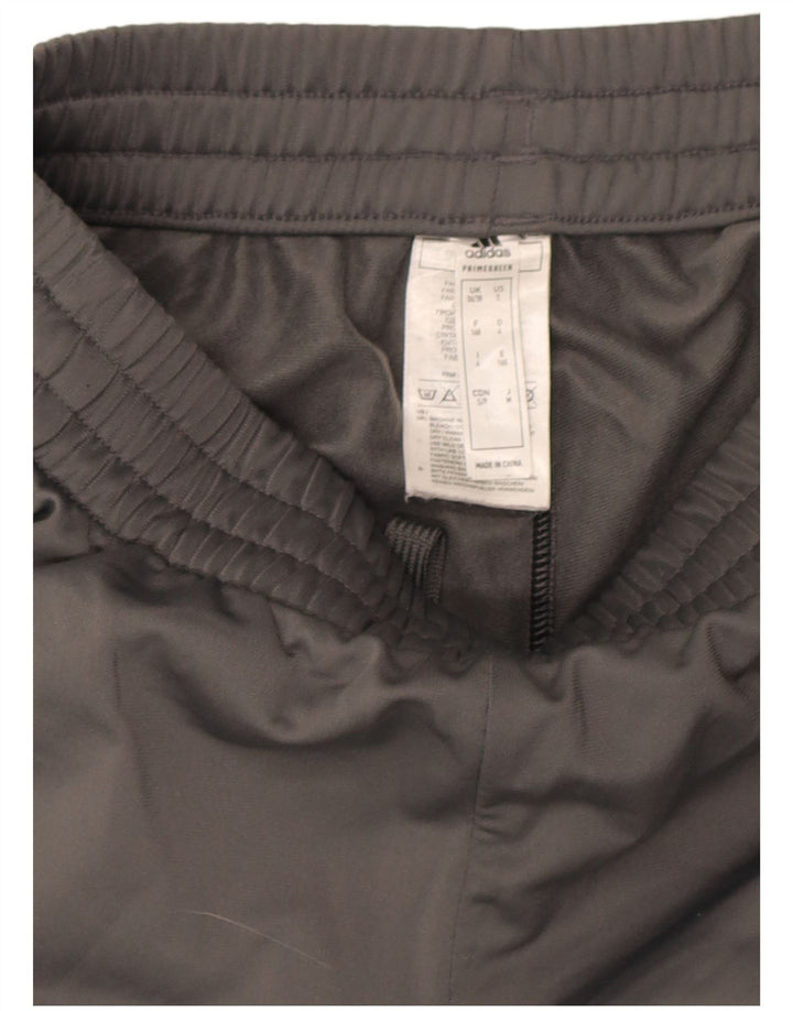 Adidas Herren Trainingshose Jogger UK 36/38 Small Grau Polyester