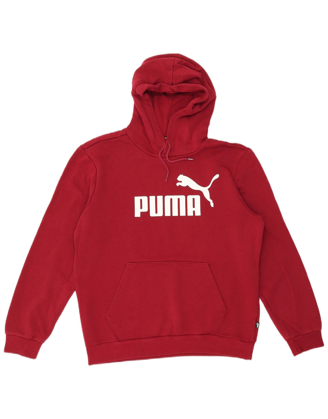 PUMA Herren Grafik-Hoodie-Pullover, mittlere kastanienbraune Baumwolle