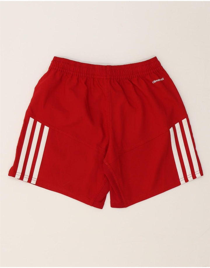 Adidas Damen Climacool Graphic Sport Shorts UK 8 Small Rot Polyester