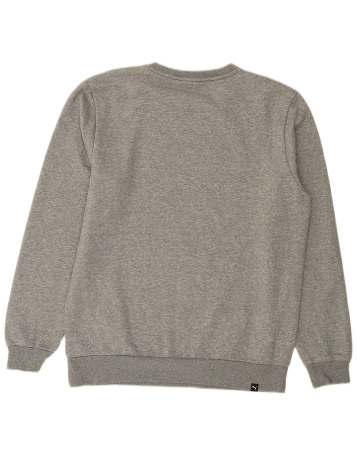 PUMA Herren Grafik-Sweatshirt-Pullover, groß, grau meliert, Baumwolle