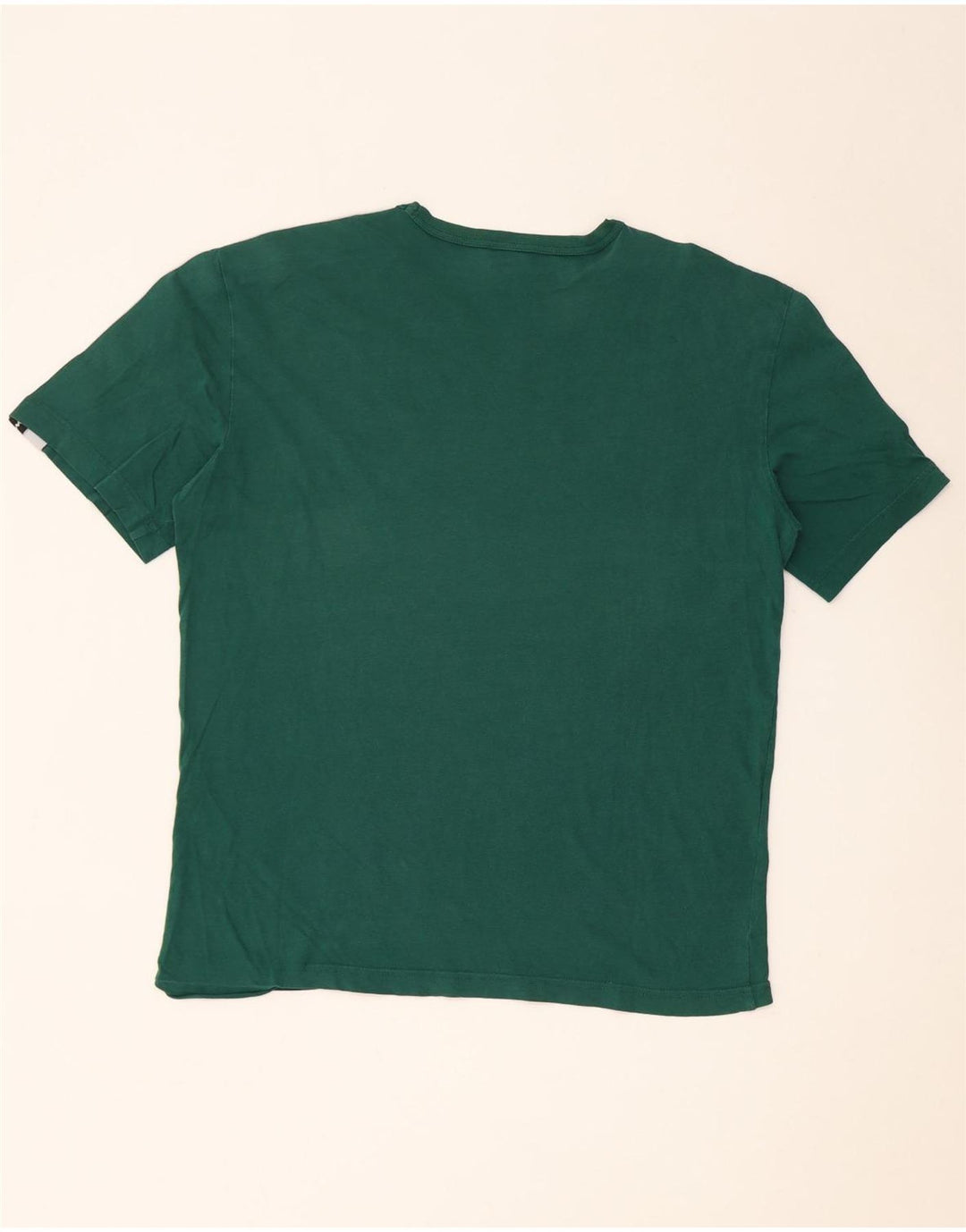 Champion Herren-T-Shirt mit Grafik, groß, grün, Farbblock