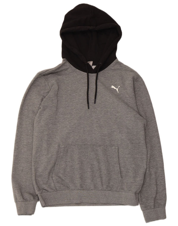 Puma Herren Graphic Hoodie Pullover Kleine graue Colourblock-Baumwolle