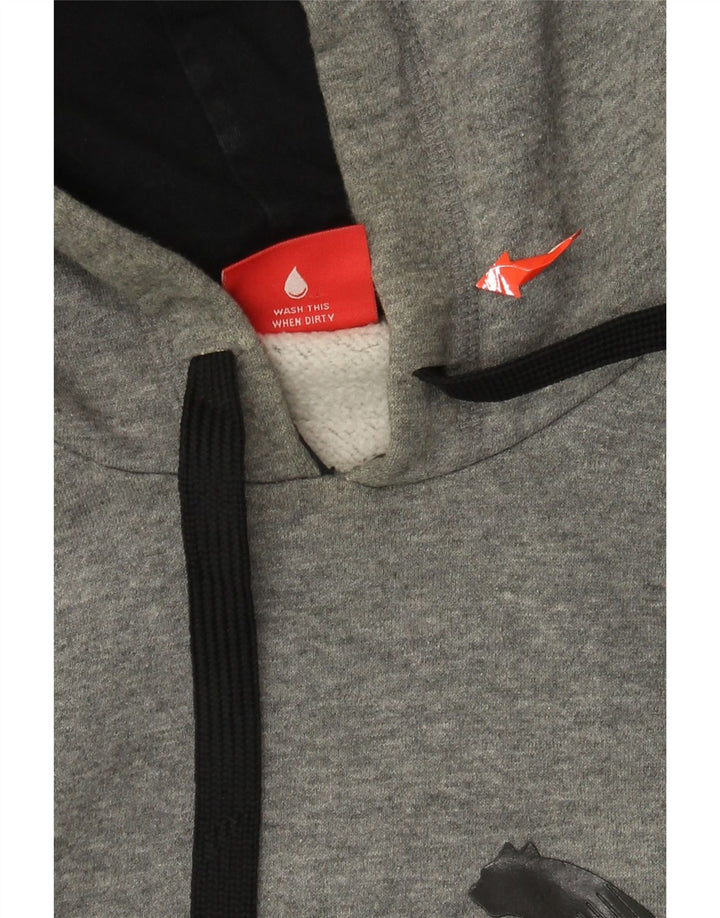 PUMA Herren Graphic Hoodie Pullover Große graue Baumwolle