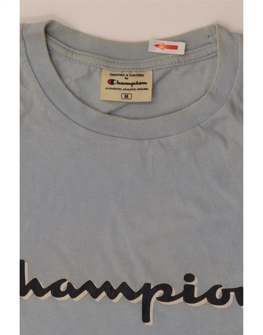 Champion Herren-T-Shirt mit Grafik, mittelblau, gestreift, Baumwolle