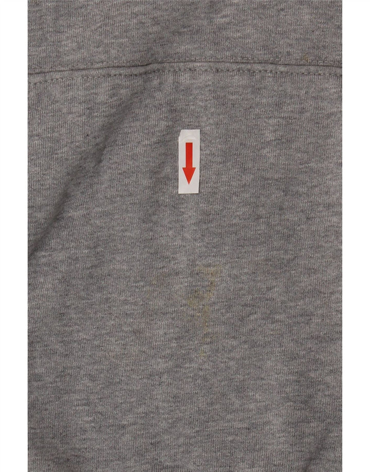 Levi's Herren-Kapuzenpullover mit Grafik, groß, graue Baumwolle