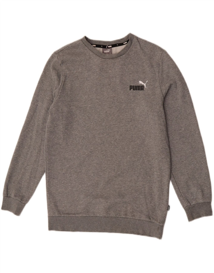 Puma Herren Sweatshirt Pullover Small Grau meliert