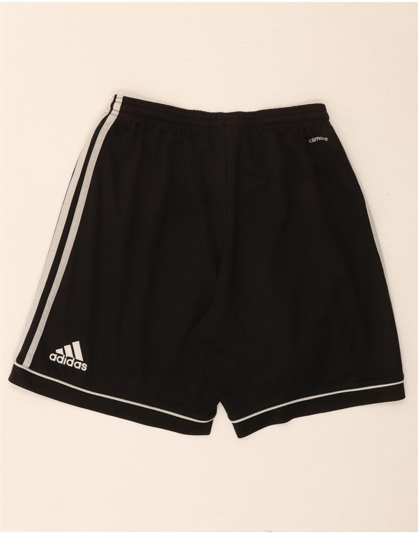 Adidas Herren Climalite Sport Shorts Small Schwarz Polyester