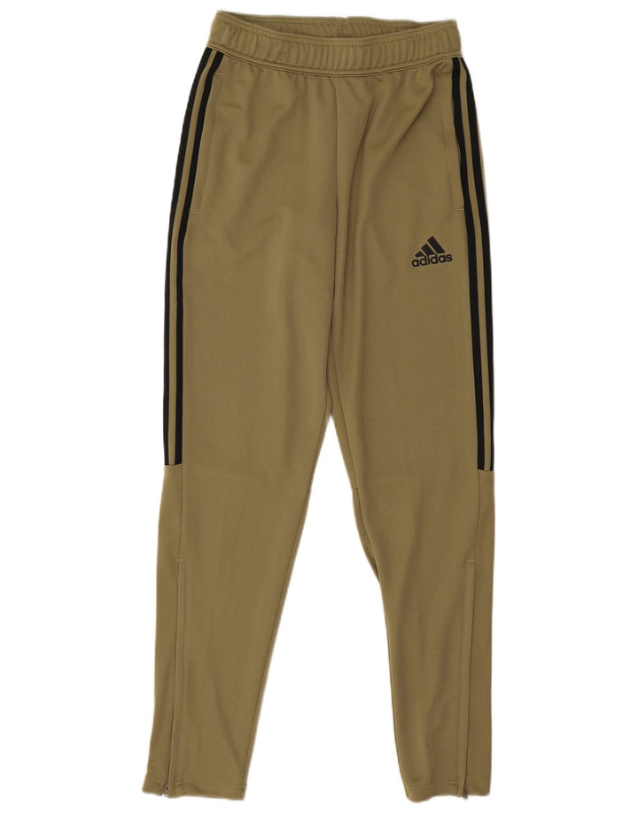Adidas Herren-Trainingshose, klein, Khaki, Polyester