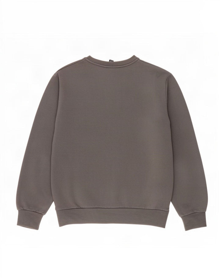 Ellesse Herren-Sweatshirt mit Grafik, groß, graue Baumwolle