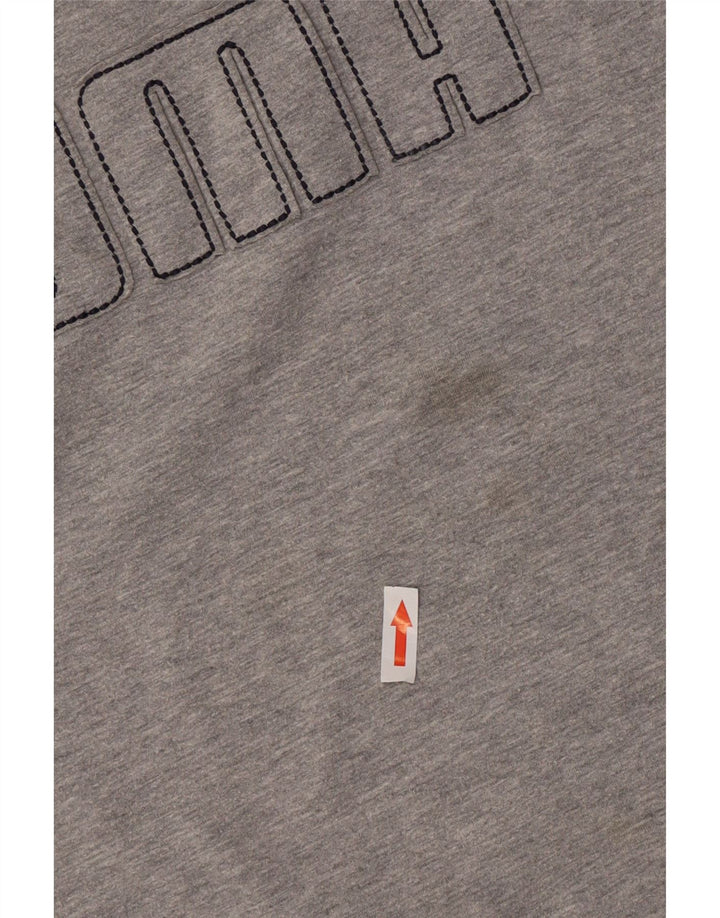 Puma Herren Graphic Top Langarm Large Grau