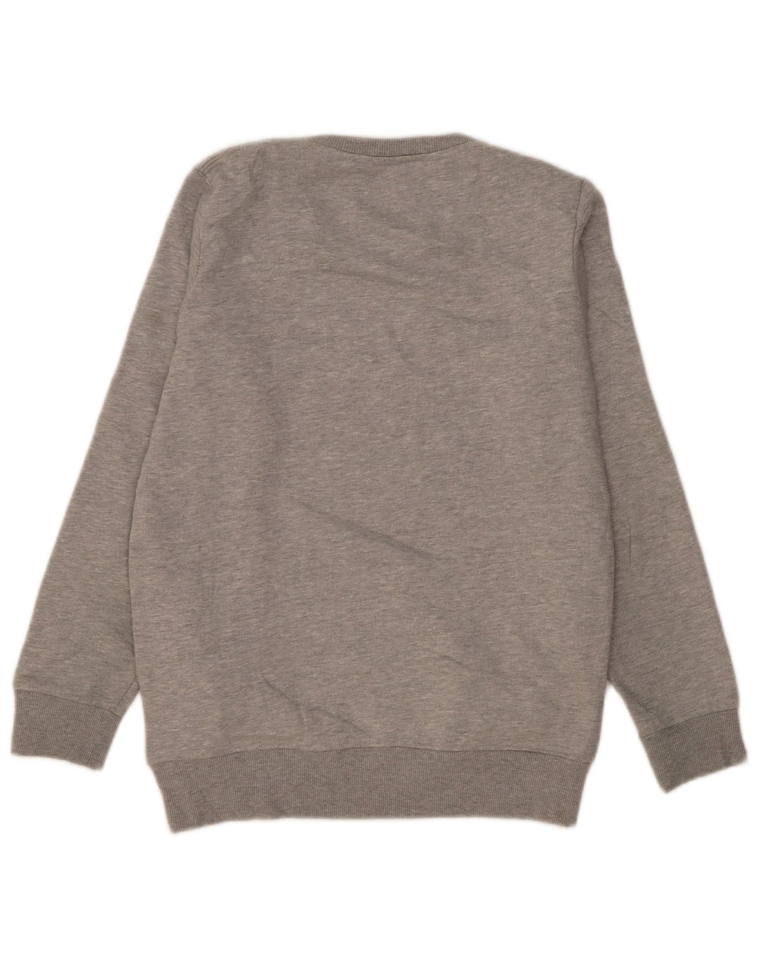 Champion Herren-Sweatshirt mit Grafik, Mittelgrau