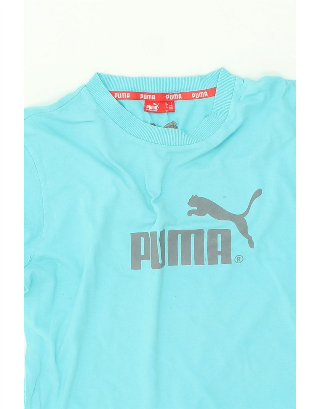 PUMA Mens Graphic T-Shirt Top Small Blue Vintage Puma and Second-Hand Puma from Messina Hembry 