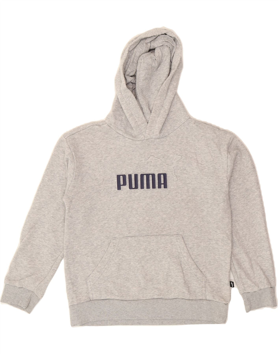 PUMA Boys Graphic Hoodie Jumper 10-11 Years Medium Grey Vintage Puma and Second-Hand Puma from Messina Hembry 