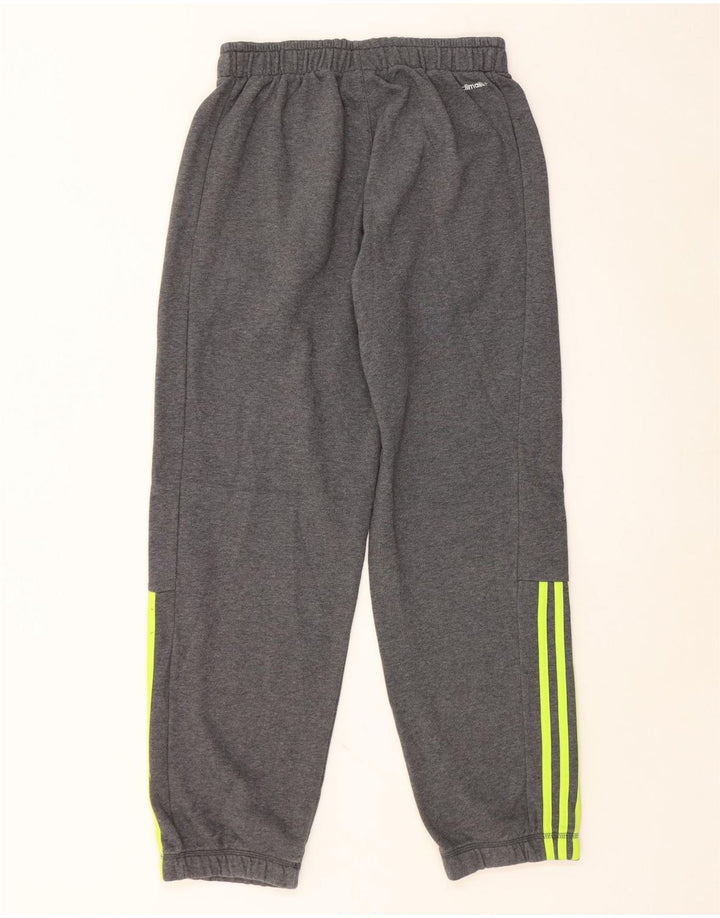 ADIDAS Herren Climalite Trainingshose Jogger mittelgraue Baumwolle