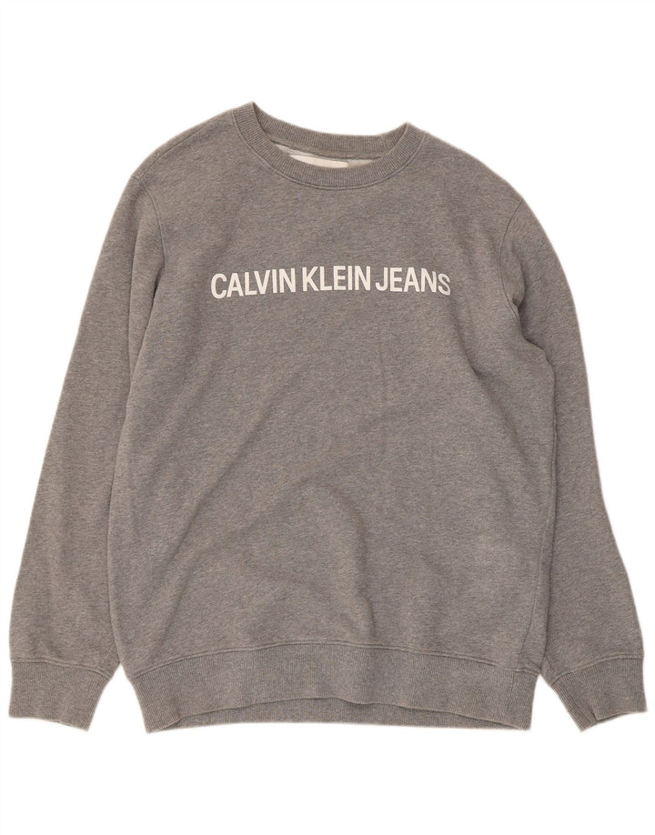 CALVIN KLEIN JEANS Mens Graphic Sweatshirt Jumper Large Grey Flecked