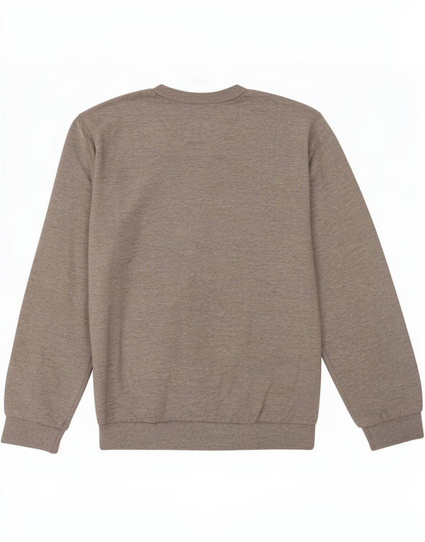 Champion Grafik-Sweatshirtpullover für Jungen, 11–12 Jahre, groß, grau meliert