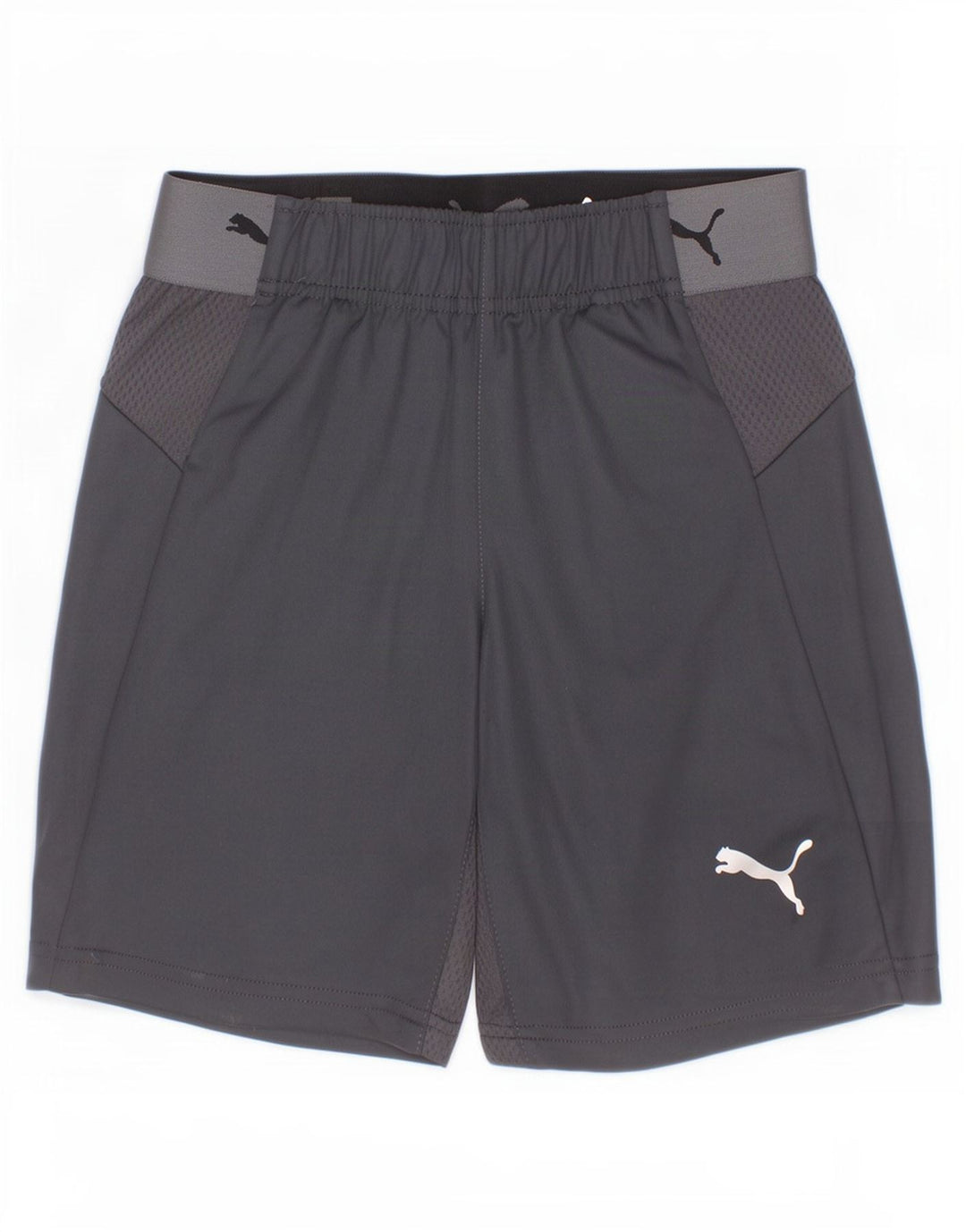 Puma Boys Graphic Sport Shorts 9-10 Jahre Graues Polyester