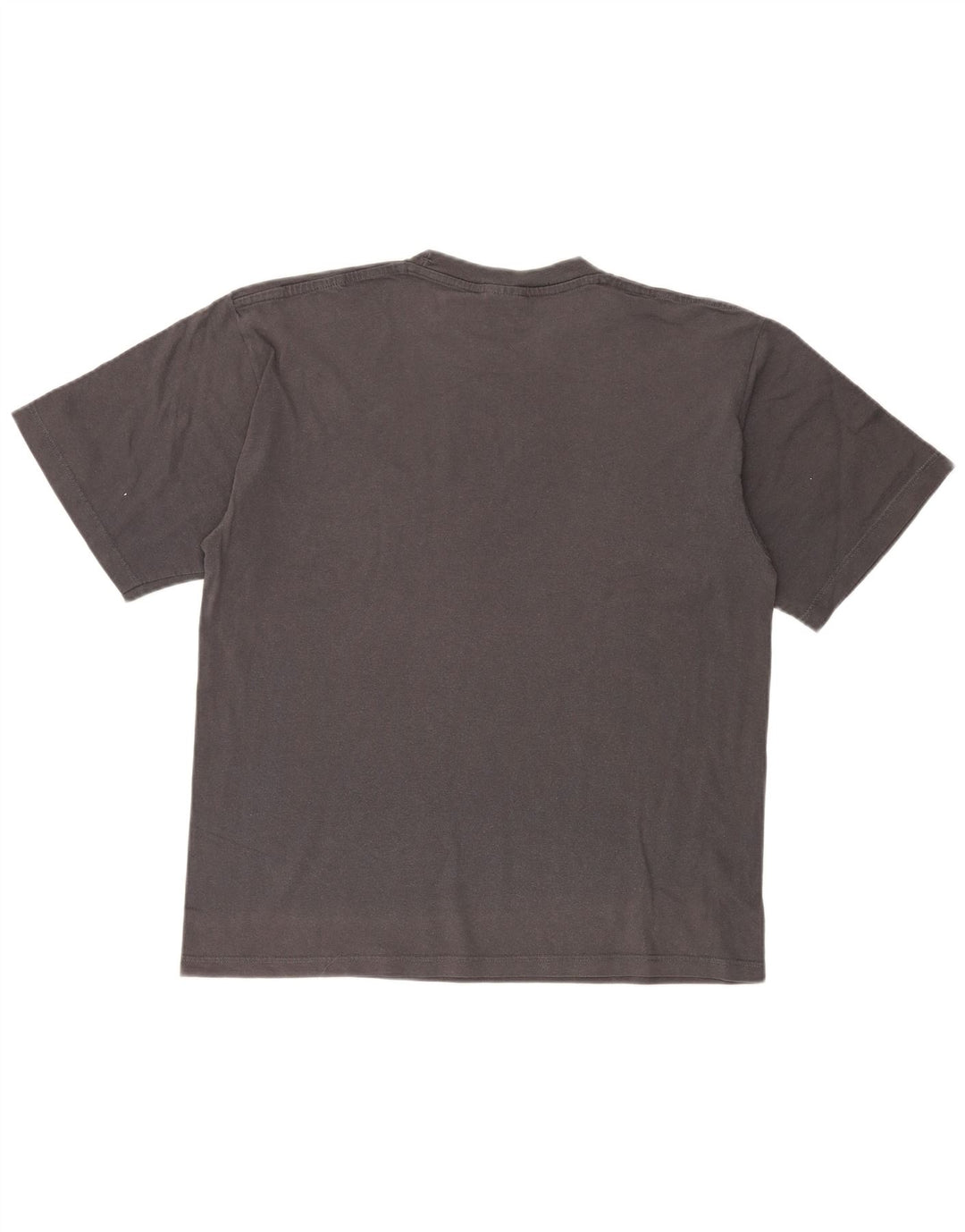 Champion Herren-T-Shirt mit Grafik, Größe L, Grau, Baumwolle