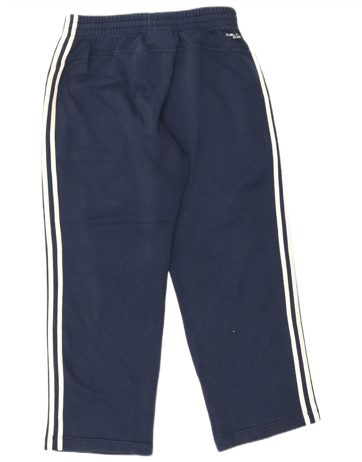 Adidas Herren-Trainingshose aus mittelblauer Baumwolle