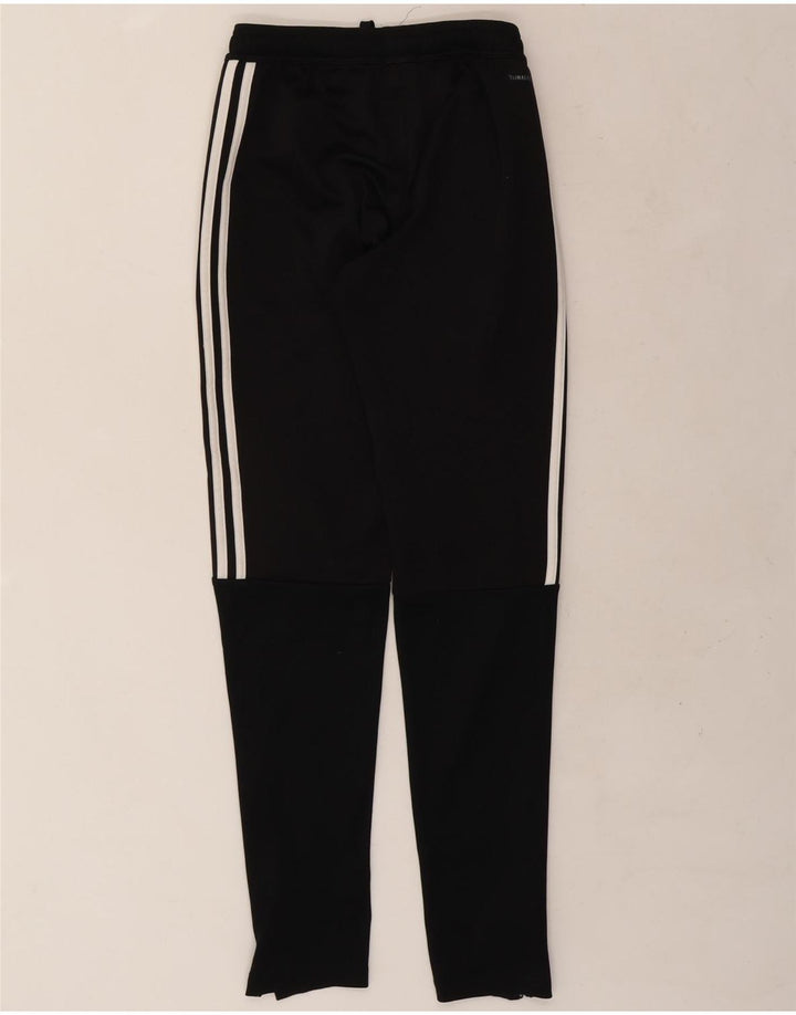 ADIDAS Herren Climalite Trainingshose XS Schwarz Polyester