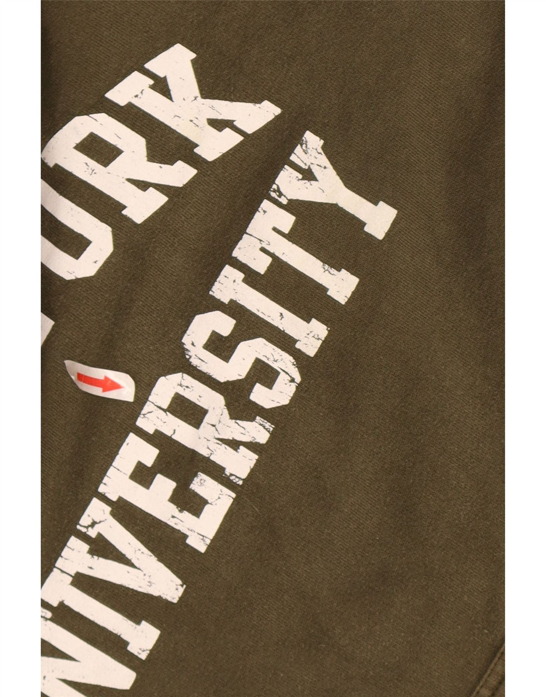 Champion Herren-Kapuzenpullover mit Grafik, groß, Khaki, Baumwolle