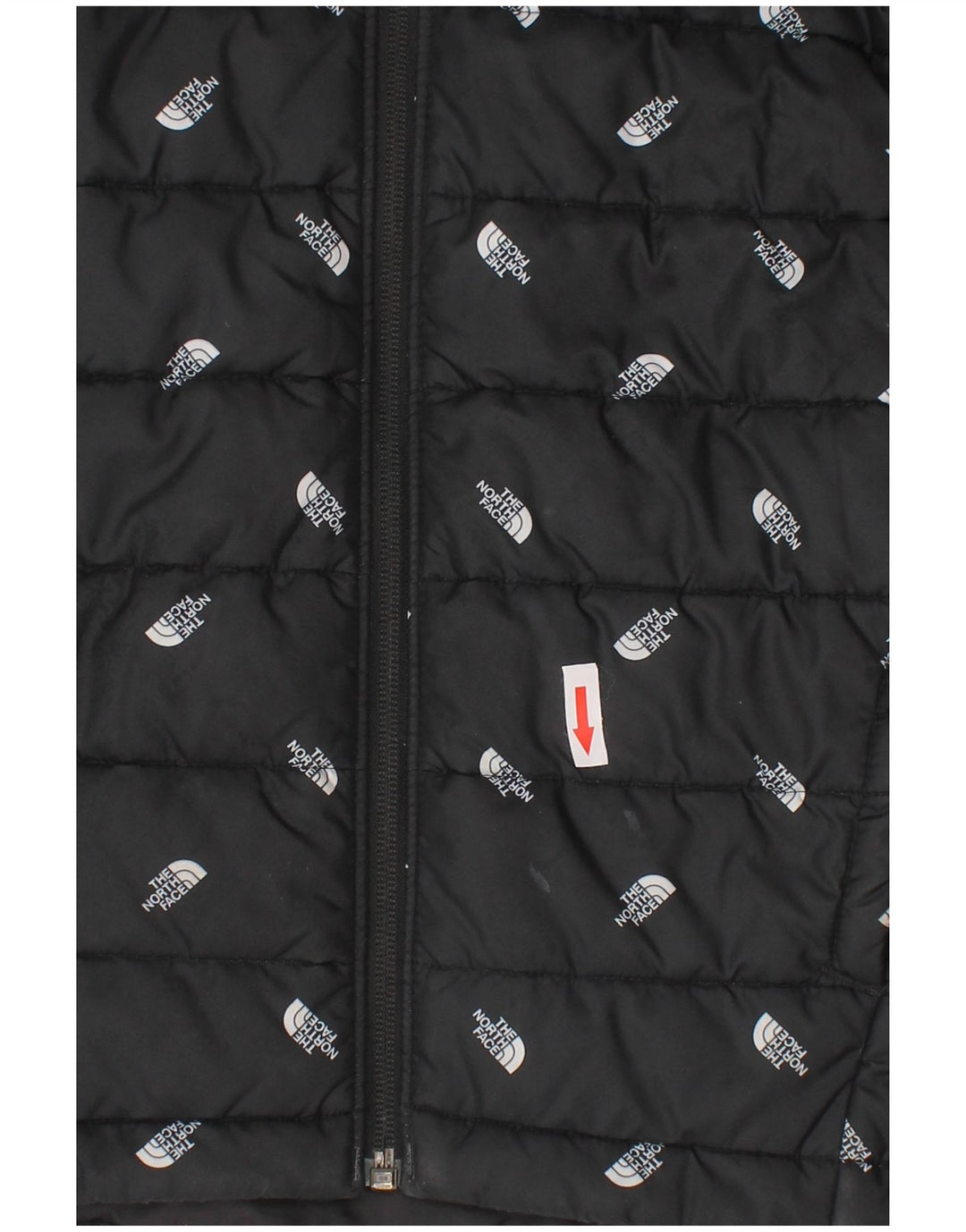 The North Face Wattierte Jacke mit grafischer Kapuze für Jungen, 9–10 Jahre, Mittelschwarz