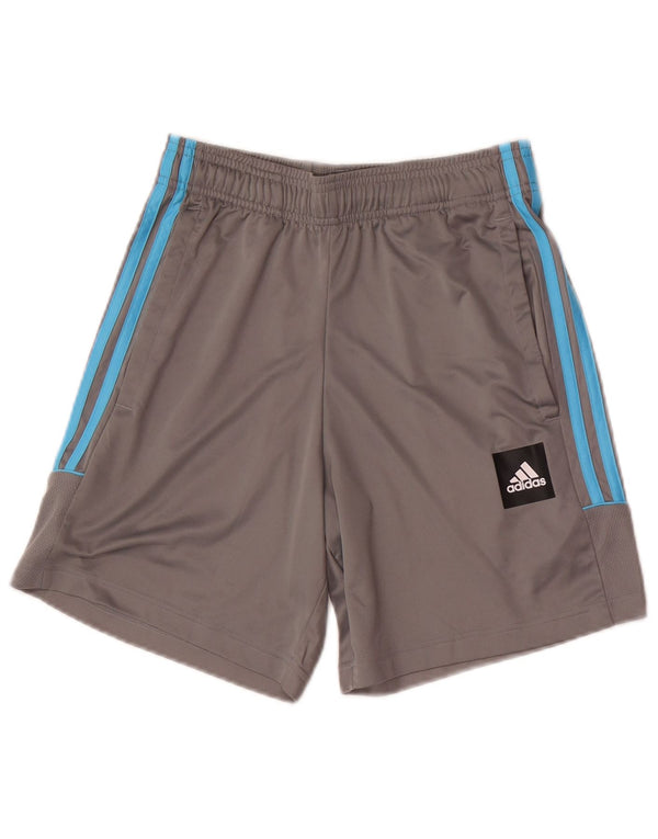 Adidas Herren Graphic Regular Sport Shorts Small Grau Sport
