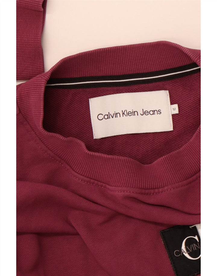 CALVIN KLEIN JEANS Herren Grafik-Sweatshirt-Pullover Mittellila