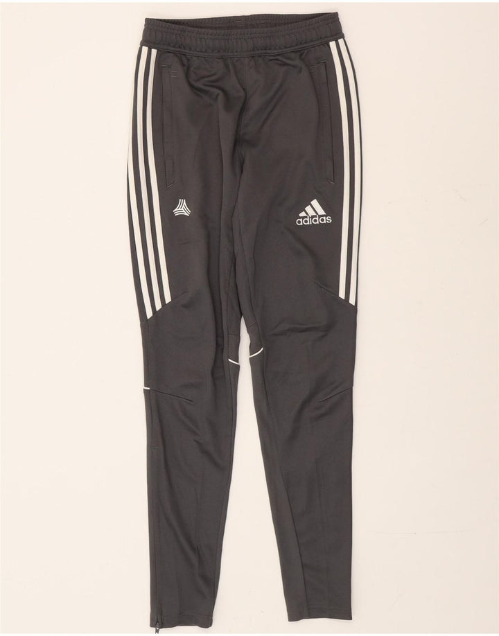 Adidas Herren Trainingshose XS Grau Polyester