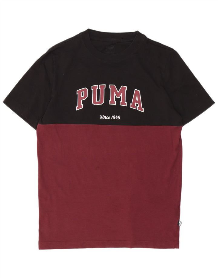 Puma Herren-T-Shirt mit Grafik, Größe S, Kastanienbraun, Colourblock-Baumwolle