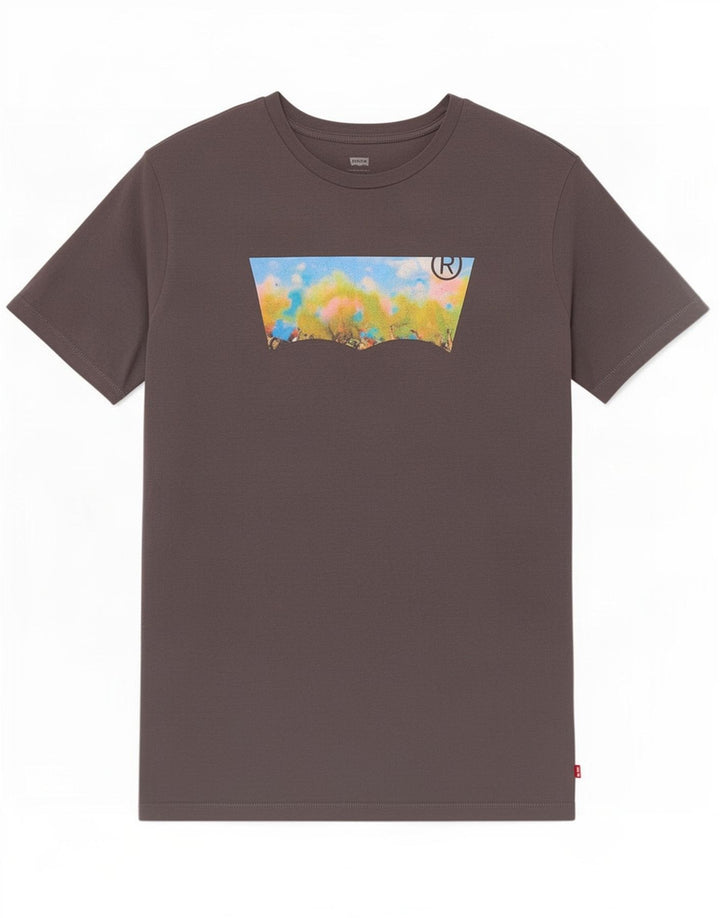 Levi's Herren-T-Shirt mit Grafik, Größe L, Grau
