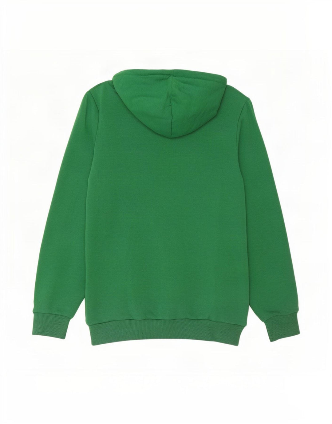 Puma Herren Graphic Hoodie Pullover Mittelgrün