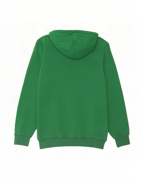 Puma Herren Graphic Hoodie Pullover Mittelgrün
