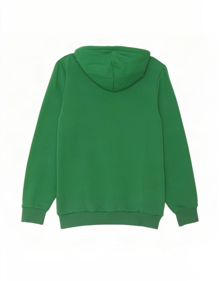 Puma Herren Graphic Hoodie Pullover Mittelgrün