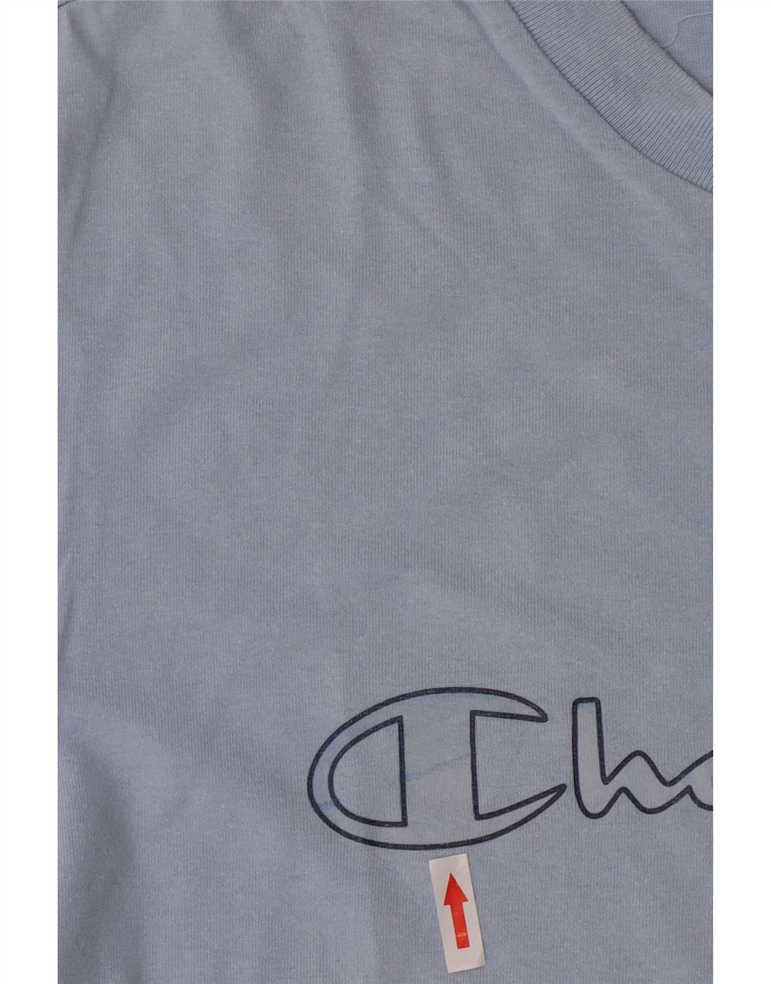 Champion Herren-T-Shirt mit Grafik, groß, aus blauer Baumwolle