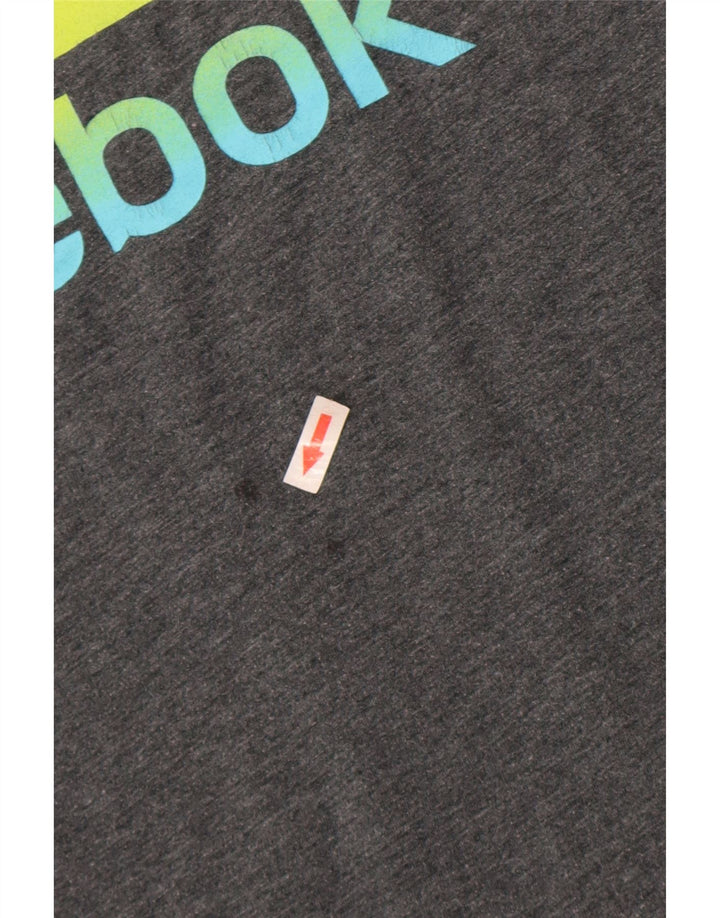 Reebok Herren Grafik-T-Shirt-Oberteil, großes graues Polyester