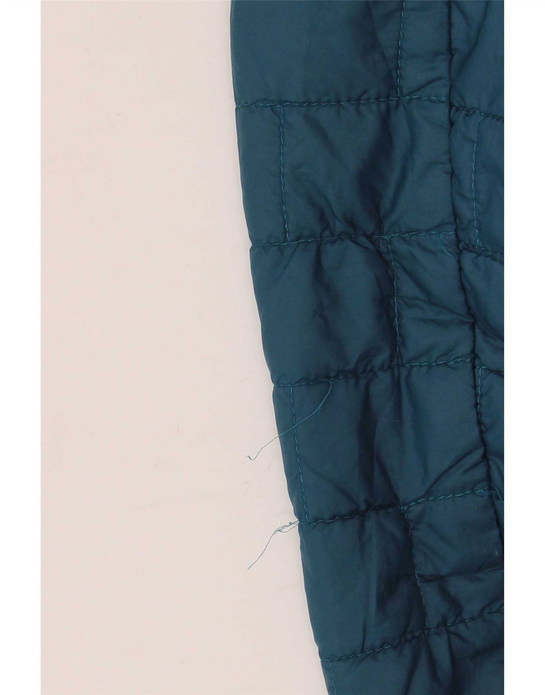 Patagonia Herren Wattierte Jacke UK 42 XL Blau Polyester