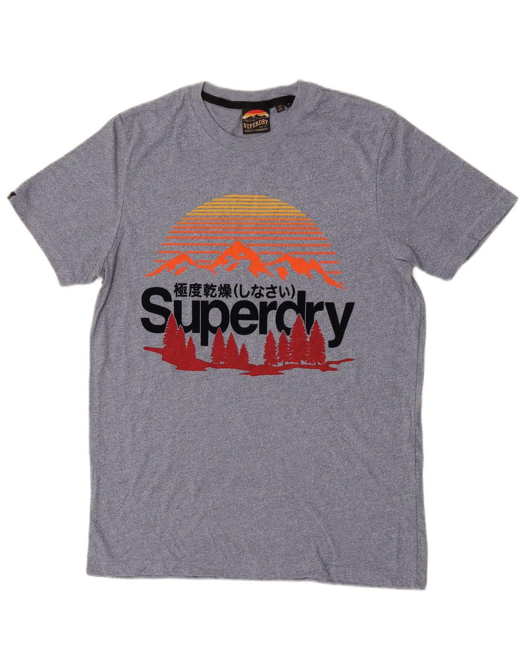 Superdry Herren Grafik-T-Shirt-Oberteil, Größe S, Blau, Baumwolle