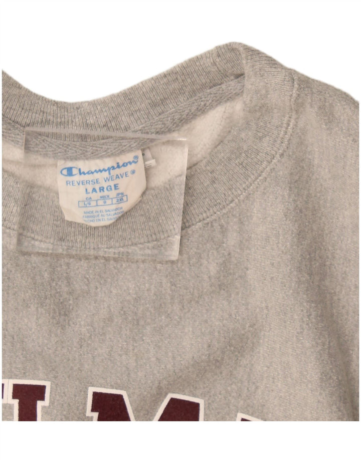 Champion Herren-Sweatshirt mit Grafik, groß, aus grauer Baumwolle