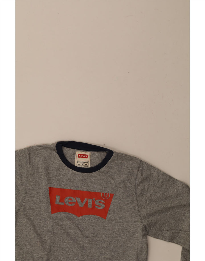 LEVI'S Boys Graphic Sweatshirt Jumper 10-11 Years Medium Grey Colourblock Vintage Levi's and Second-Hand Levi's from Messina Hembry 