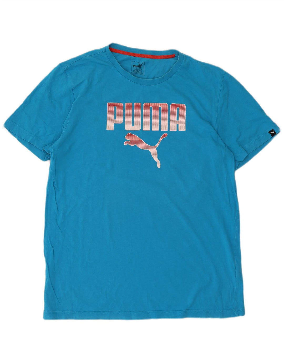 PUMA Herren Grafik T-Shirt Top Large Blau