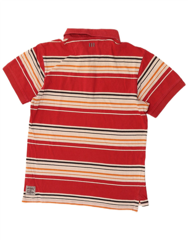 Animal Herren-Poloshirt aus mittelroter, gestreifter Baumwolle
