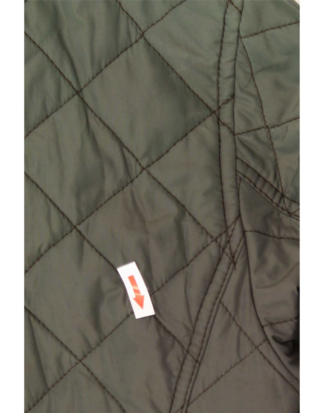 Camel Active Herren Steppjacke EU 50 Large Grün Polyamid