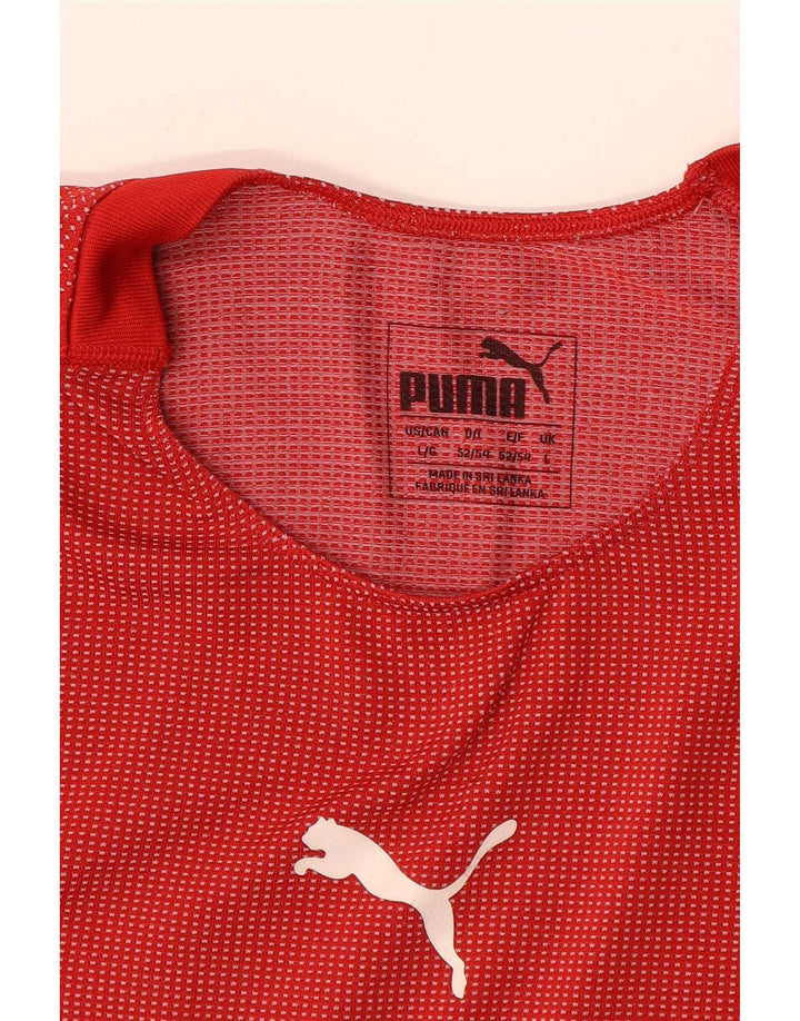 Puma Herren T-Shirt mit Grafik, groß, rot gestreift