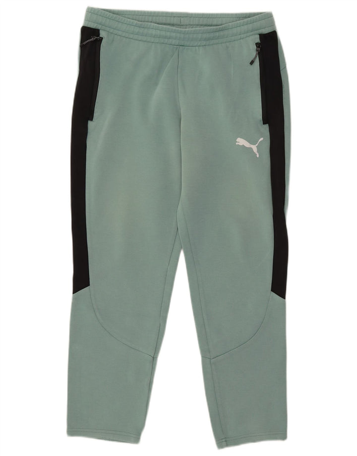 Puma Herren-Trainingshose, groß, grün, Farbblock